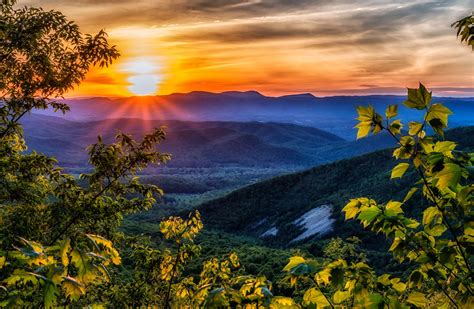  “The Virginia Mountains” 풍경화와 자연의 정신적 유대